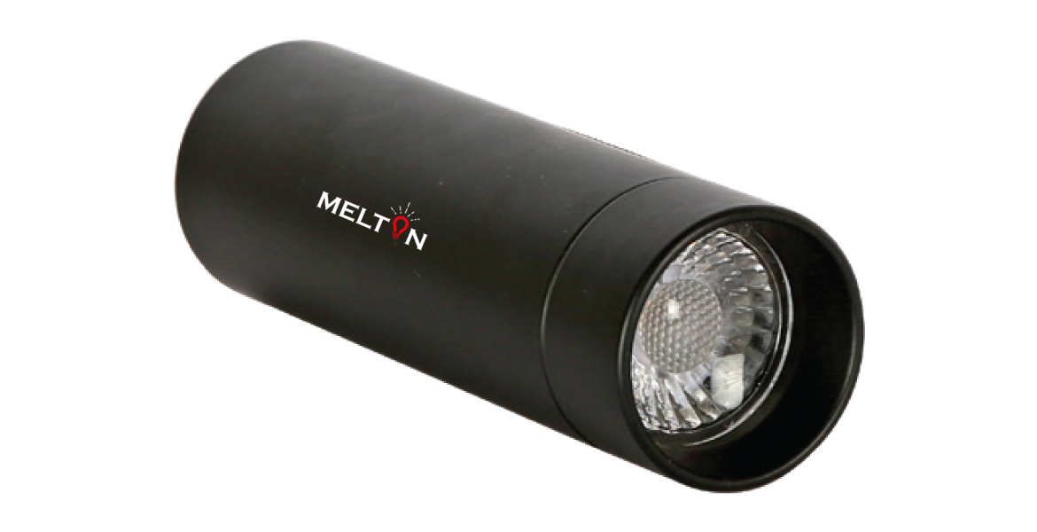 Outdoor Ceiling Surface Light MTOCS - 001